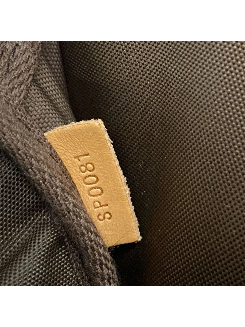 Louis Vuitton Travel Bag Monogram Pegase 45